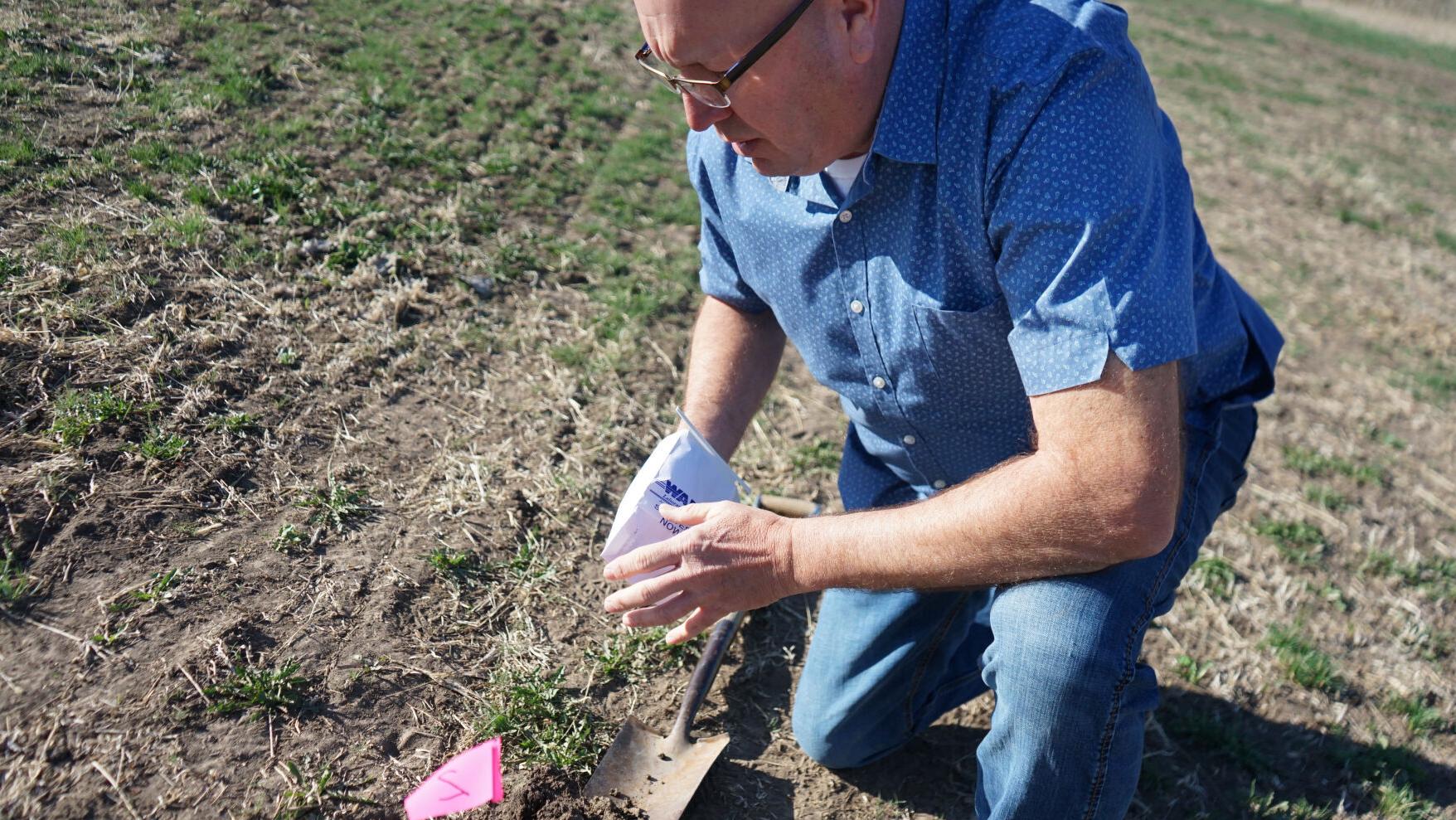 Some Nebraska farmers are protecting groundwater while boosting profit. Here’s how they do it.